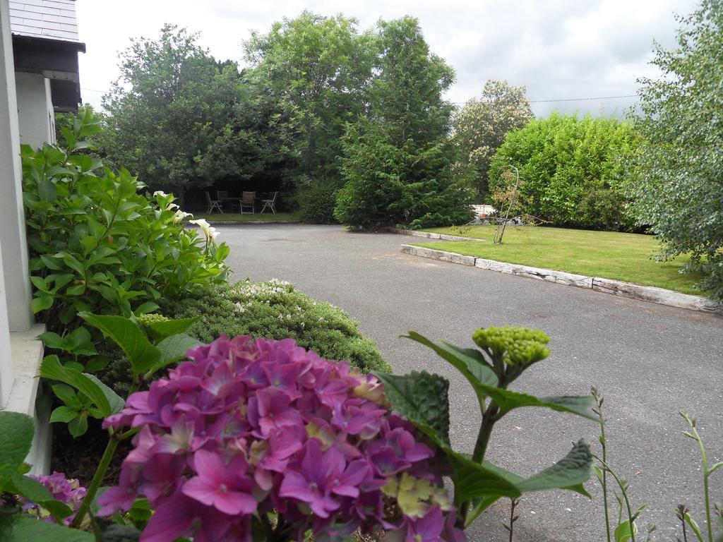Ethan House Holiday Suites Killarney Exterior foto